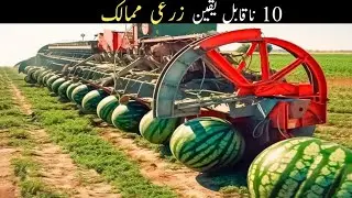 Top 10 Most Unbelievably Agriculturally Advanced Countries in the World | 10 ناقابل یقین زرعی ممالک