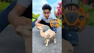 Remote control Snake And Camel Unboxing🔥#shorts