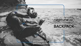 NEPTUNE III Backpack