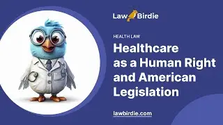 Healthcare as a Human Right and American Legislation - Essay Example