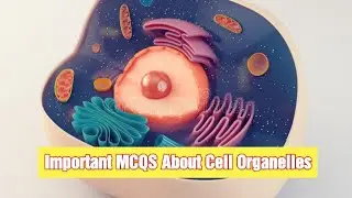 Important points About Organelles || NLE Step 1 || FCPS Part 1 || Dr M B