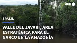 El Valle del Javarí, un área estratégica para el narco en la Amazonía brasileña | AFP