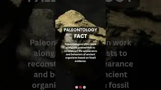 Work of paleontologists | #paleontology #paleontologia