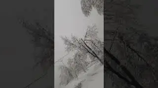 Snow❄ covered ❄Kabul❄🌨
