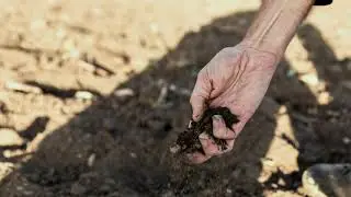 Forest landscape restoration in supply chains