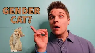Gender Cat 4RLZ Jr Packer Prosthetic FTM Review