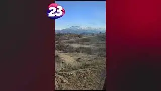 BASKİL'DE DOMUZ S&Uuml;R&Uuml;S&Uuml; G&Ouml;R&Uuml;NT&Uuml;LENDİ