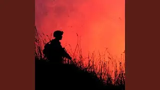 Military Pulse