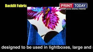 Backlit Fabric | Print Today