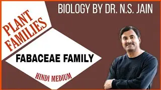 Fabaceae Family (Plant families) | Hindi Medium