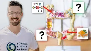 Dein Darm liebt diese Nährstoffe (Nicht Probiotika)
