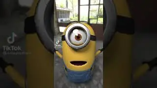 #minionstuff