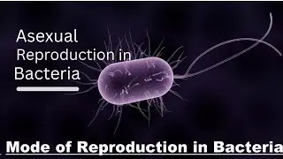reproduction in Bacteria...A sexual reproduction in Bacteria BSc first year