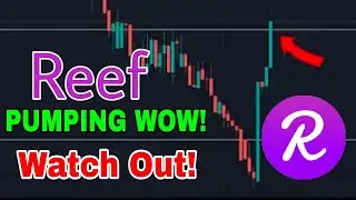 Reef Huge Alert! Reef coin Price Prediction & Analysis! Reef News Today