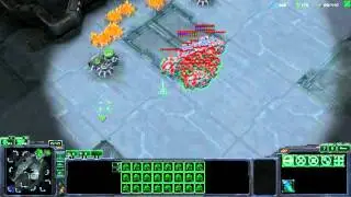 Terrano vs Zerg TvZ