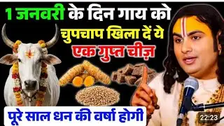 1 जनवरी के दिन चुपचाप गाय को खिला दें 1 छोटी सी चीज | इतना पैसा आयेगा की... |