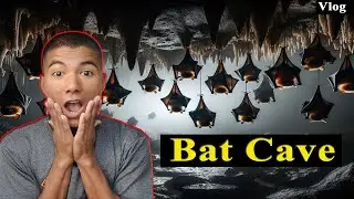 Bat Cave - Pokhara Vlog || OP Vines