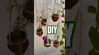 How To Grow Office Time 🌲🌴#officetime #gardening #garden