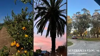 Austraalia vlog #6 - Esimene roadtrip ja nädal mandariinifarmis