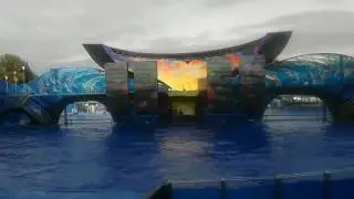 Орландо, Флорида, США. Шоу One ocean - Орки. Sea world парк