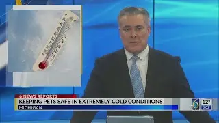 Keeping pets safe in extremely cold conditions