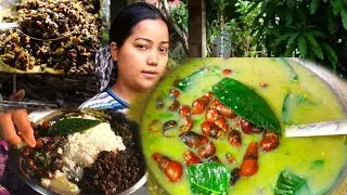 SNAIL RECIPE | How To Cook Snail In Bru/Reang Tribe's Traditional Style | Tiprasa Village Kitchen |