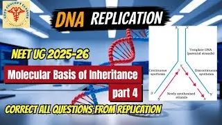 The Science of DNA Replication ! #DNA  #replication