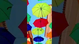 Kroatien | Novigrad | Street Art impressions