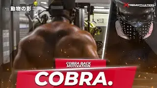 STRIVE FOR THE COBRA BACK &bull; BACK DAY MOTIVATION