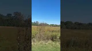 🌿 Calming Walk in Nature | Enjoy the Tranquility of Scenic Trails