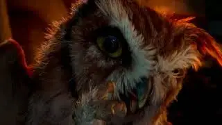 guardians of ga'hoole: ezylryb's speech