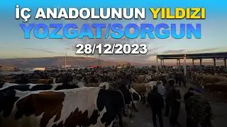 YOZGAT/SORGUN HAYVAN PAZARI | YILIN SON PAZARI !!!