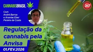 Cannabis Brasil - O direito &agrave; sa&uacute;de e o caso Mamaflor na nova regula&ccedil;&atilde;o da Anvisa