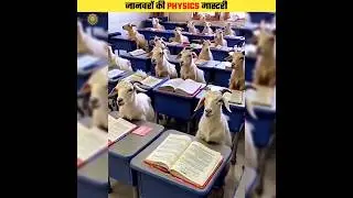 These Animals Know Physics #shorts