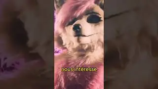 Les furry sont (encore) all&eacute;s TROP LOIN 😟