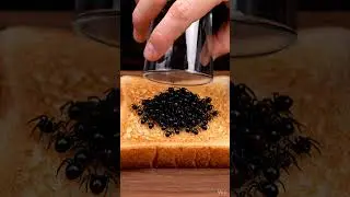 Spider TOAST #subscribe #ai #aishorts #support #trending #food #toast #aivideo #Spider