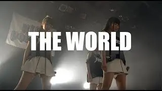 【Official Live】THE WORLD / PiGU【Music Clip】