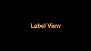 WSP Revit Addin - Label View