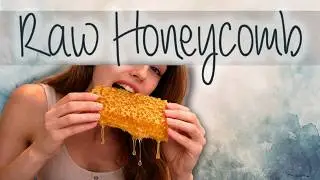 T&Uuml;RK&Ccedil;E ASMR NEDİR ? || BAL PETEĞİ YEDİM || yapış yapış biraz sesler || HONEYCOMB