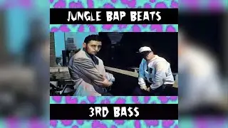 🔥 3rd Bass Tribute Rap Video 2025 | Jungle Bap Beats x D Skillz Music (NYC Official Music Video