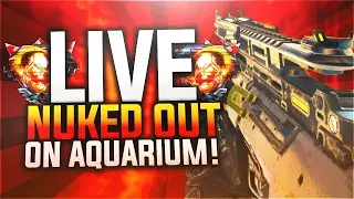LIVE 