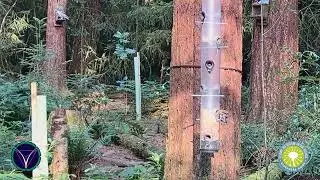 Loch Lomond & Trossachs National Park: Aberfoyle Evening 2 | Relief from Stress | Learn about nature
