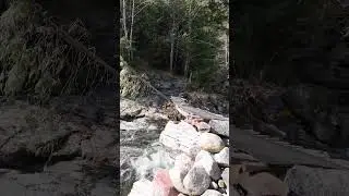 Rickety Bridge at Beautiful River Squamish