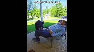 Best Wild Animal Attacks on Porches &ndash; Caught on Video!