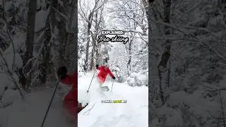 My tree skiing tips- Tremblant