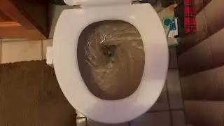 My Grandma’s House toilets