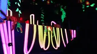 Dj Finamore yuki