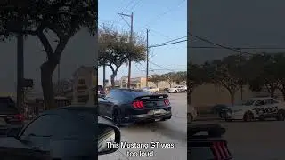 This Mustang GT was too loud #mustangs #mustangs550#mustangshelby #mustangsfamily #mustangsaddiction