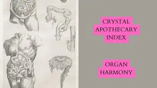Crystal Apothecary Index - Organ Harmony