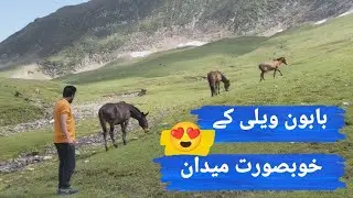 Exploring baboon valley😍wonderful kashmir 💚 #kashmir #trending #baboon #adventure #pakistan #explore